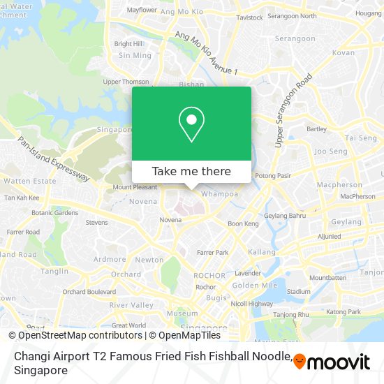 Changi Airport T2 Famous Fried Fish Fishball Noodle地图
