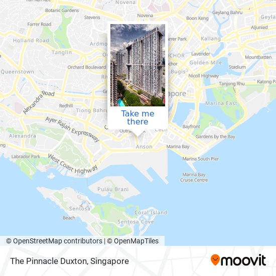 The Pinnacle Duxton map