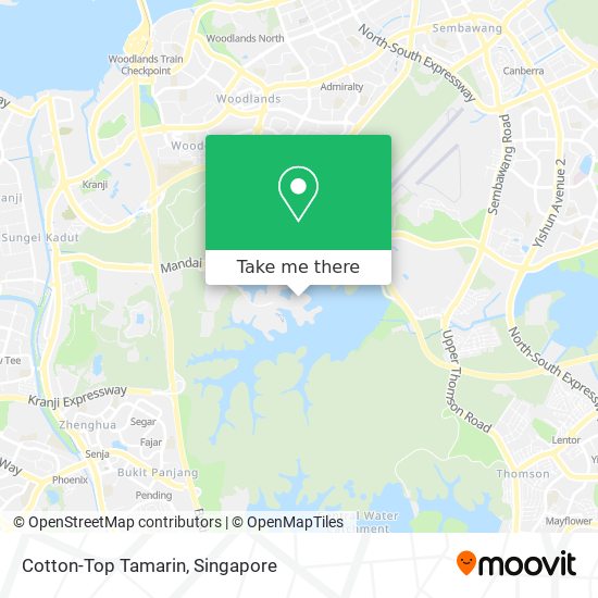 Cotton-Top Tamarin map