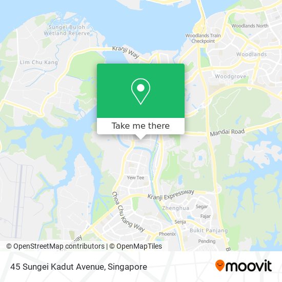 45 Sungei Kadut Avenue map