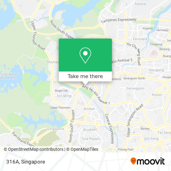 316A map
