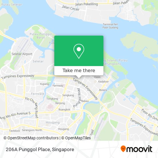 206A Punggol Place map