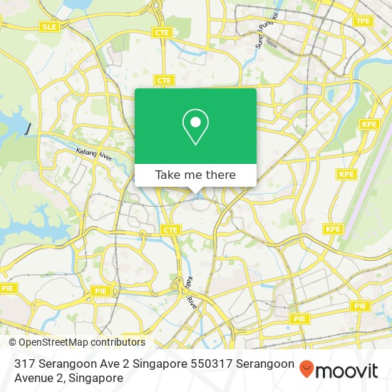 317 Serangoon Ave 2 Singapore 550317 Serangoon Avenue 2地图