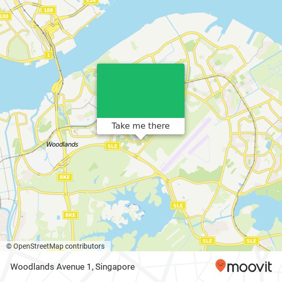 Woodlands Avenue 1 map