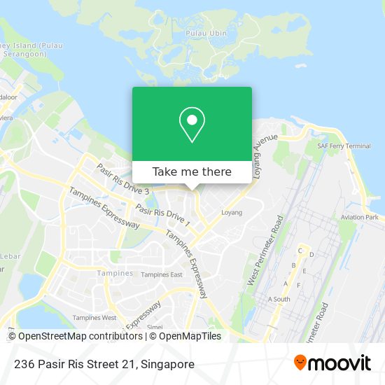 236 Pasir Ris Street 21 map