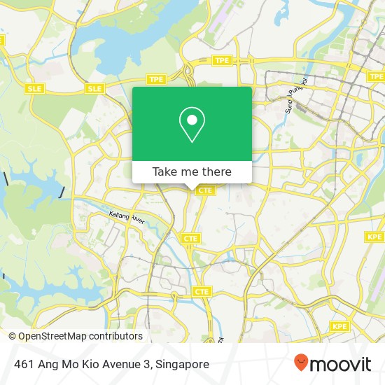 461 Ang Mo Kio Avenue 3地图