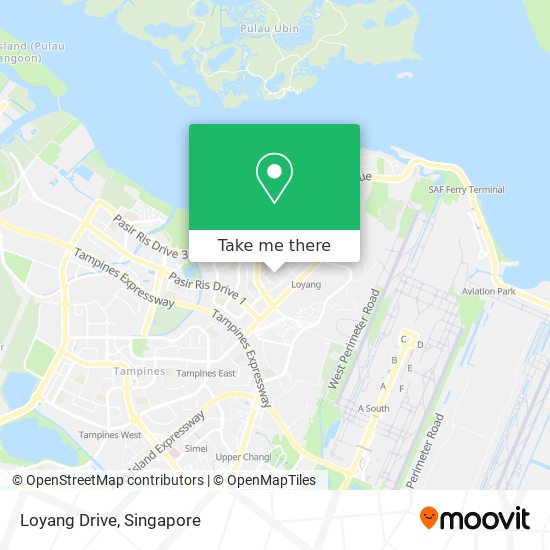 Loyang Drive map