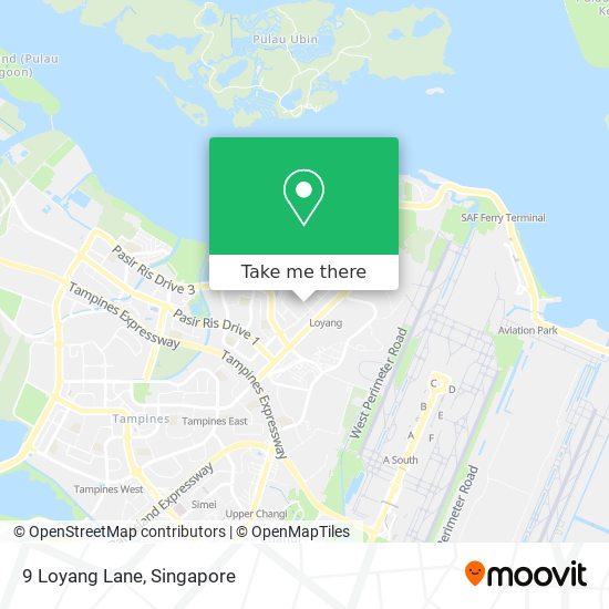 9 Loyang Lane map