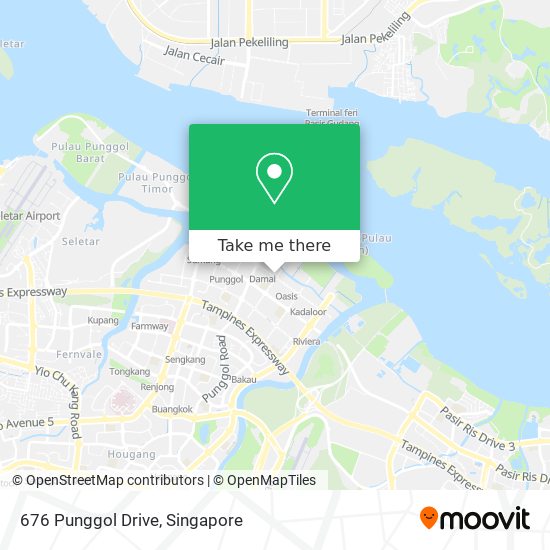 676 Punggol Drive地图