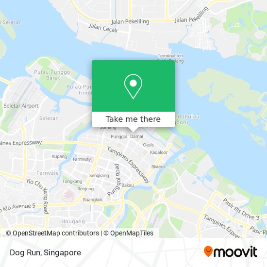 Dog Run map