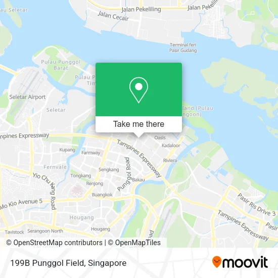 199B Punggol Field map