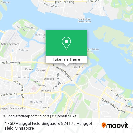 175D Punggol Field Singapore 824175 Punggol Field地图