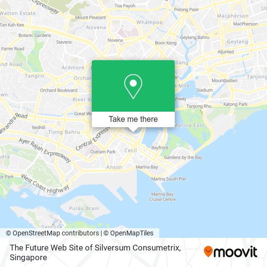 The Future Web Site of Silversum Consumetrix map