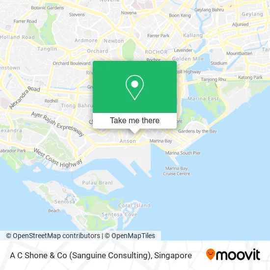 A C Shone & Co (Sanguine Consulting) map
