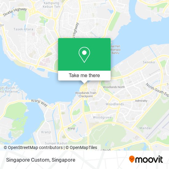 Singapore Custom map