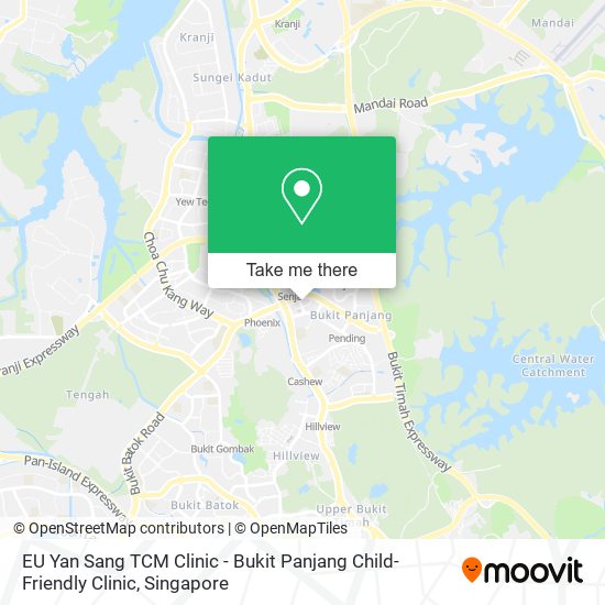 EU Yan Sang TCM Clinic - Bukit Panjang Child-Friendly Clinic map