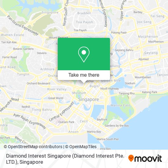 Diamond Interest Singapore (Diamond Interest Pte. LTD.) map
