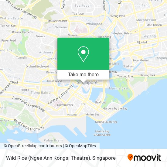Wild Rice (Ngee Ann Kongsi Theatre)地图