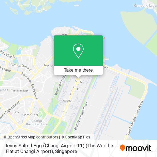 Irvins Salted Egg (Changi Airport T1) (The World Is Flat at Changi Airport) map