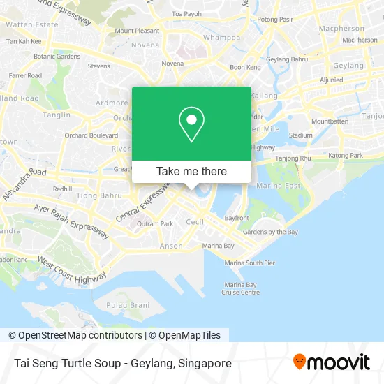 Tai Seng Turtle Soup - Geylang地图
