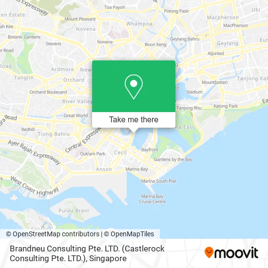 Brandneu Consulting Pte. LTD.地图