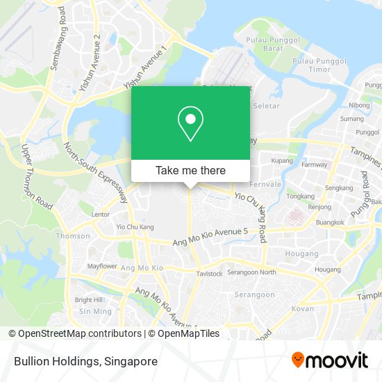 Bullion Holdings地图