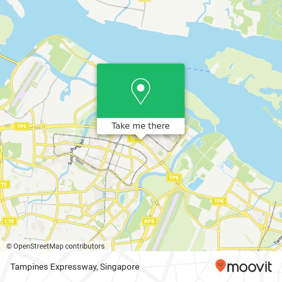 Tampines Expressway map