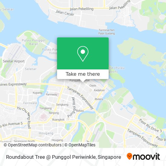 Roundabout Tree @ Punggol Periwinkle map