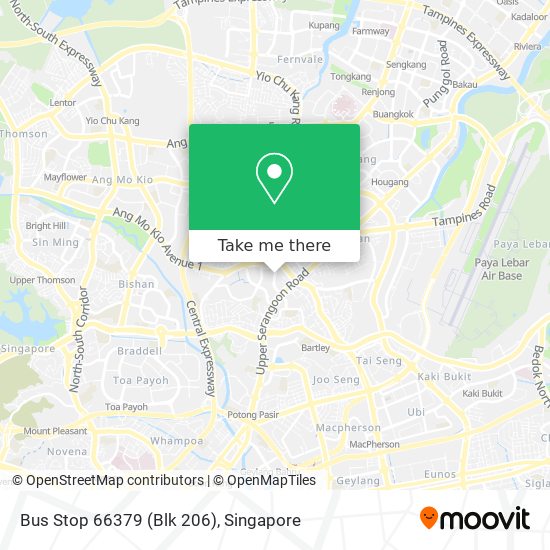 Bus Stop 66379 (Blk 206)地图