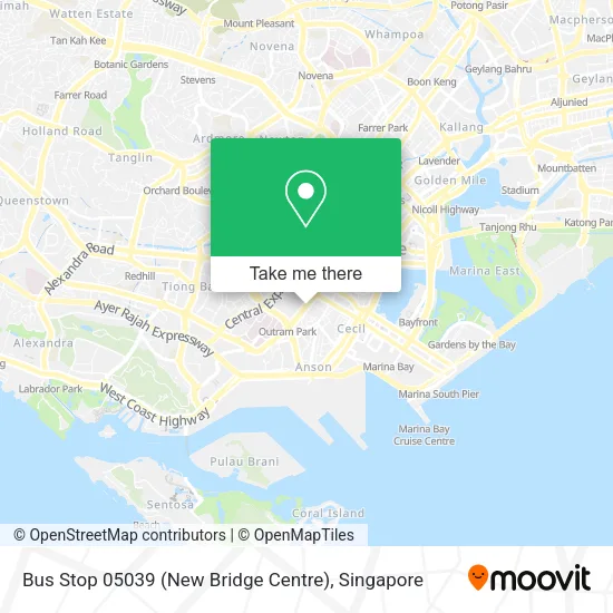 Bus Stop 05039 (New Bridge Centre)地图