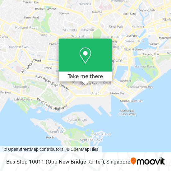 Bus Stop 10011 (Opp New Bridge Rd Ter)地图