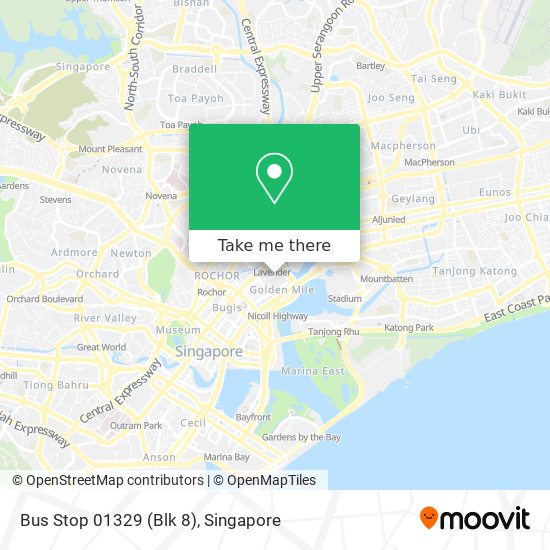 Bus Stop 01329 (Blk 8)地图