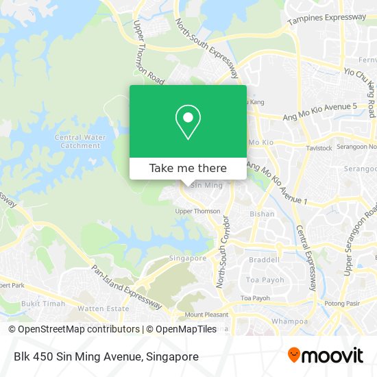 Blk 450 Sin Ming Avenue map