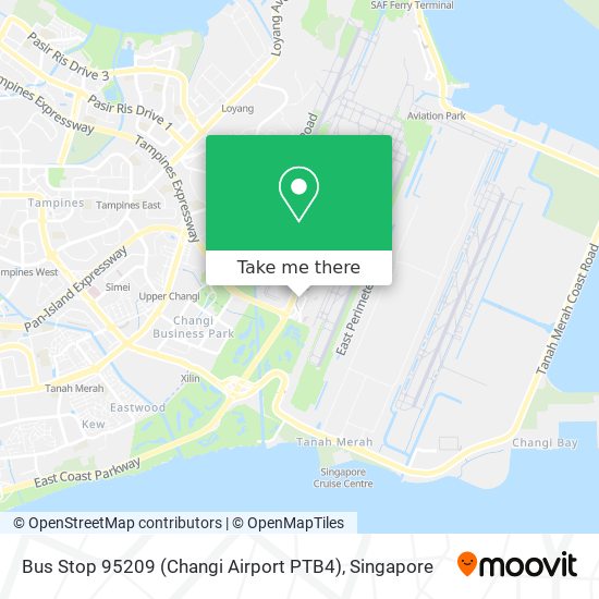 Bus Stop 95209 (Changi Airport PTB4) map