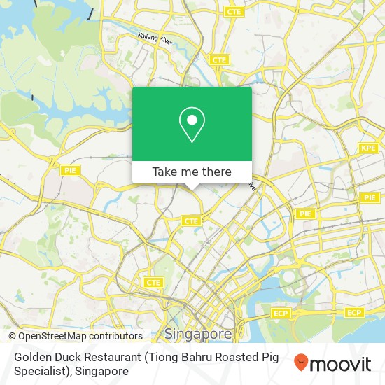 Golden Duck Restaurant (Tiong Bahru Roasted Pig Specialist) map