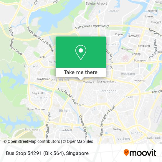 Bus Stop 54291 (Blk 564) map