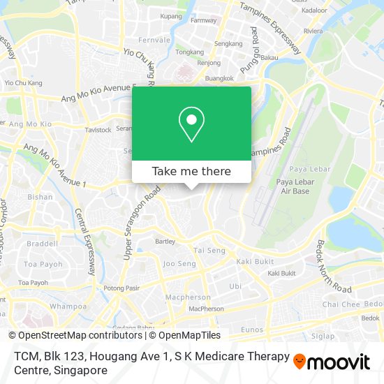 TCM, Blk 123, Hougang Ave 1, S K Medicare Therapy Centre地图