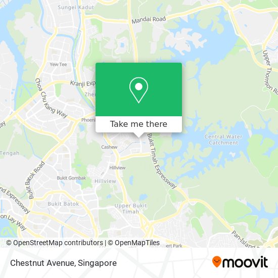 Chestnut Avenue map