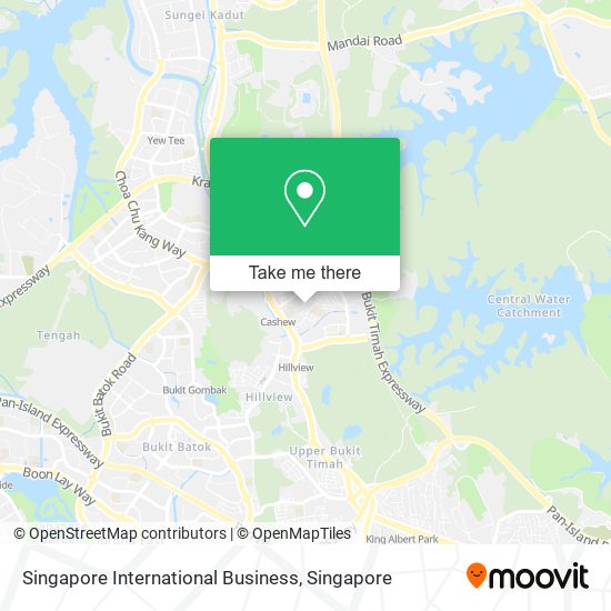 Singapore International Business map