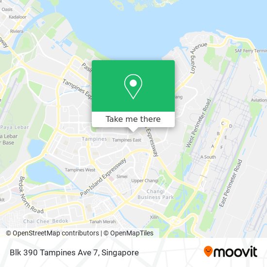 Blk 390 Tampines Ave 7地图