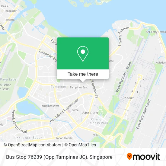 Bus Stop 76239 (Opp Tampines JC)地图