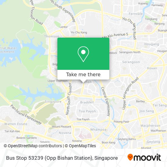 Bus Stop 53239 (Opp Bishan Station)地图