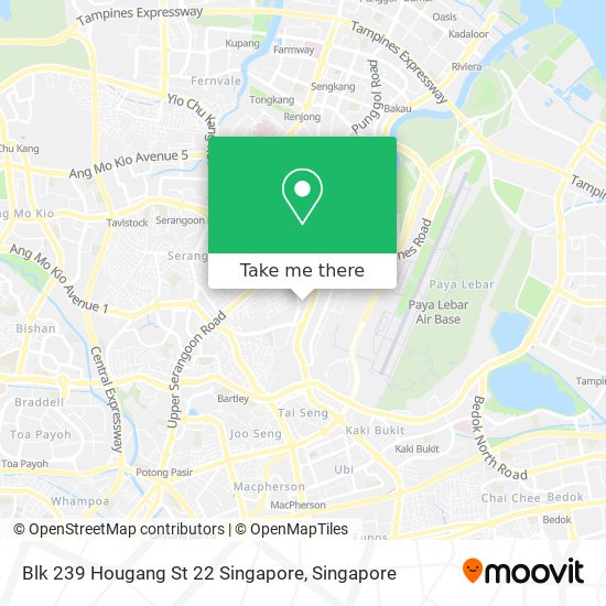 Blk 239 Hougang St 22 Singapore地图
