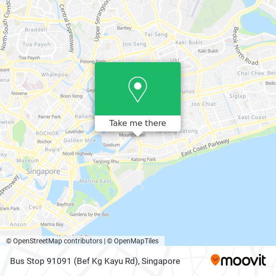 Bus Stop 91091 (Bef Kg Kayu Rd)地图