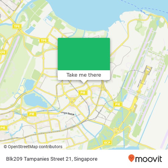 Blk209 Tampanies Street 21地图