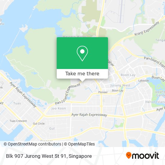 Blk 907 Jurong West St 91 map