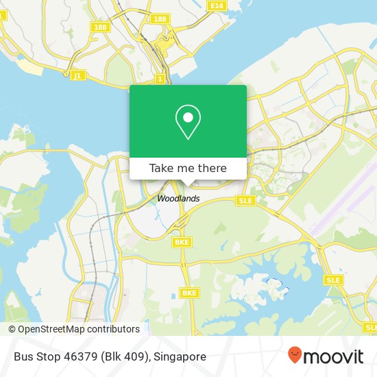 Bus Stop 46379 (Blk 409) map