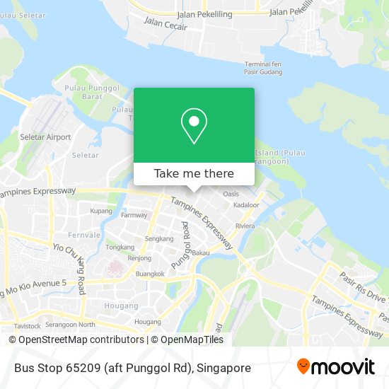 Bus Stop 65209 (aft Punggol Rd) map