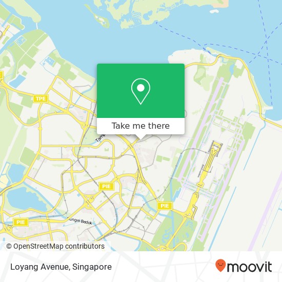 Loyang Avenue map