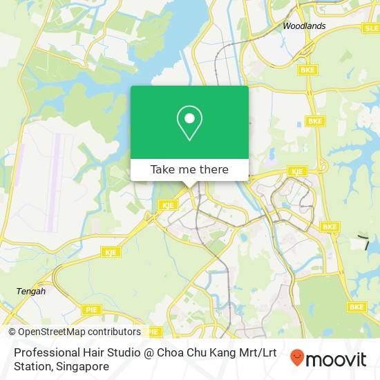 Professional Hair Studio @ Choa Chu Kang Mrt / Lrt Station地图